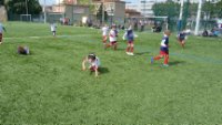 Zoom